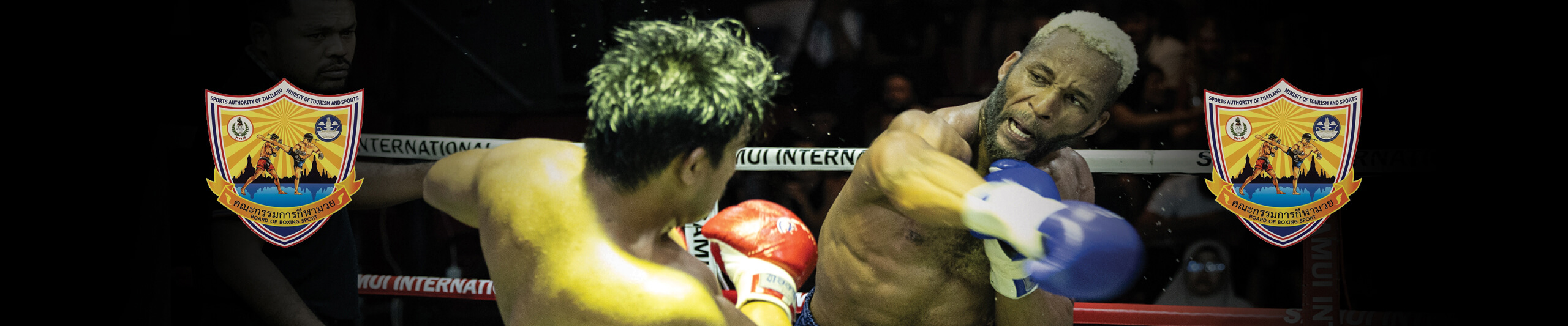 ED and DTV Muay Thai Visa Thailand – Full Guide from Punch it Gym